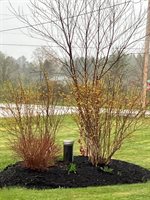 111 Amberside Drive, Hermon, ME 04401