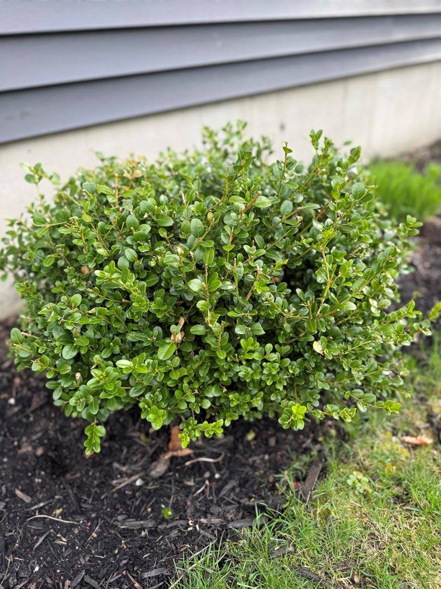 37 Jennifer Lane, Bangor, ME 04401