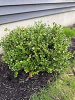 37 Jennifer Lane, Bangor, ME 04401