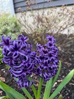 37 Jennifer Lane, Bangor, ME 04401