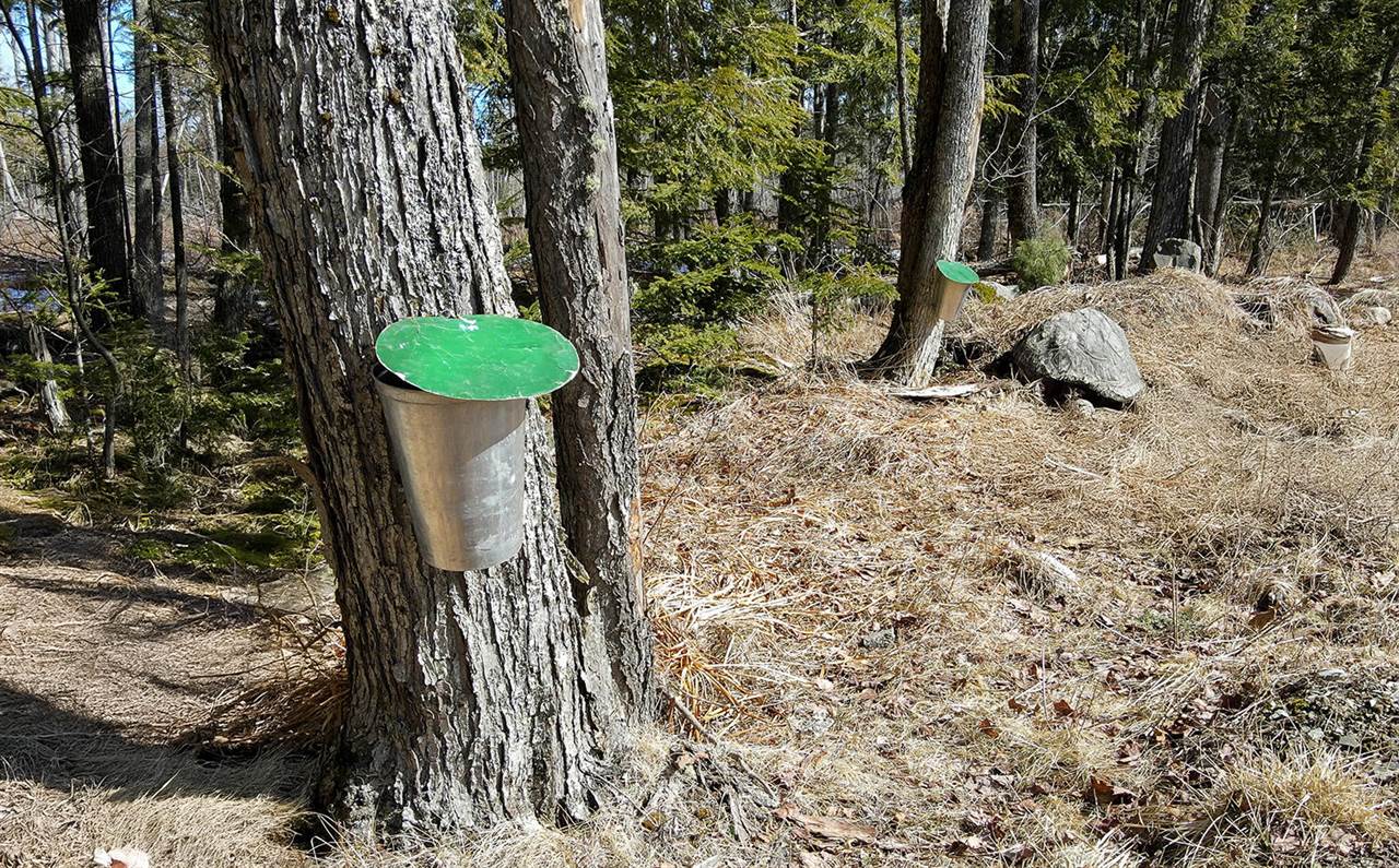 M37-053-00 Cedar Breeze South, Glenburn, ME 04401