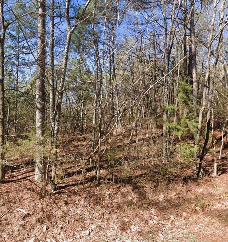 Perkins St, Selmer, TN 38375