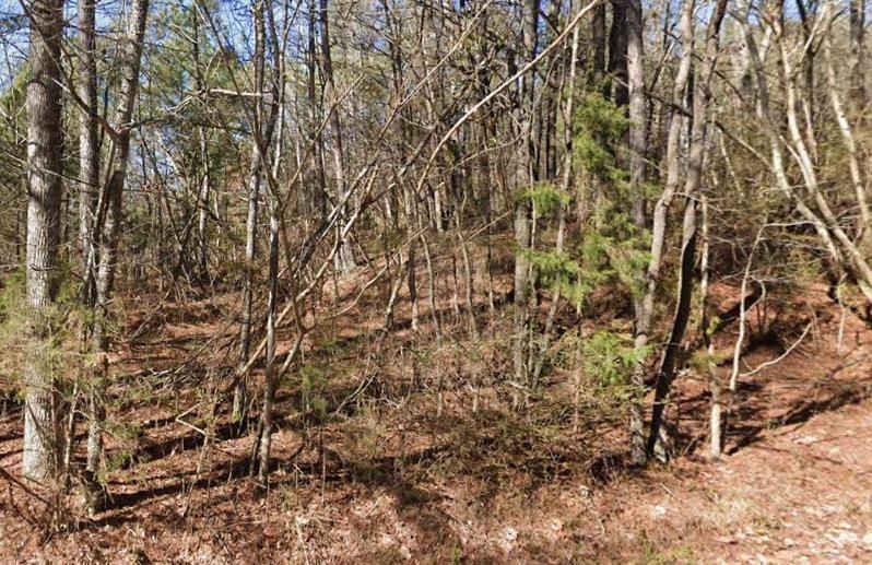 Perkins St, Selmer, TN 38375