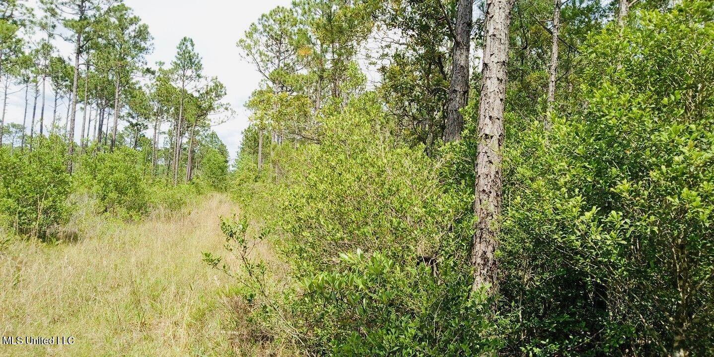 Grafe Homestead Road, Moss Point, MS 39562