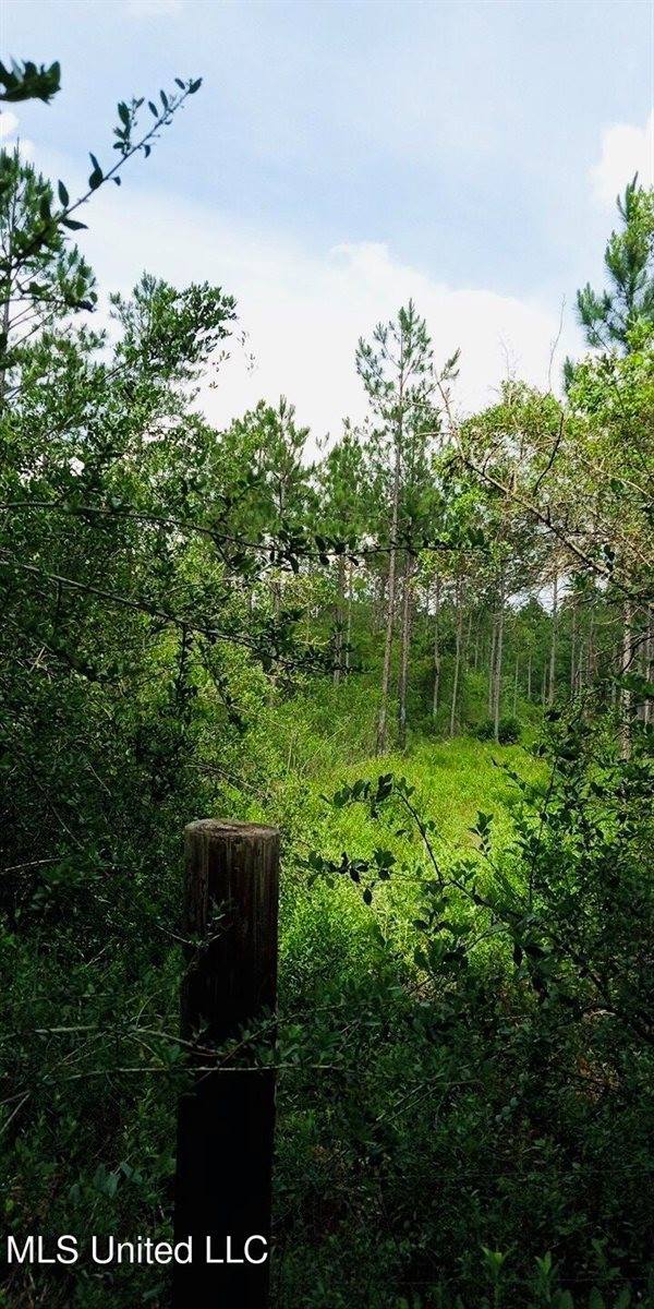Grafe Homestead Road, Moss Point, MS 39562