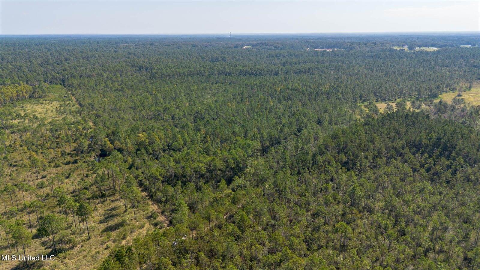 Grafe Homestead Road, Moss Point, MS 39562