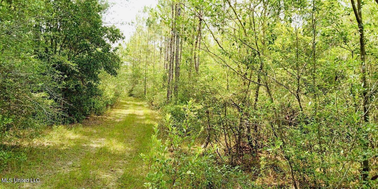 Grafe Homestead Road, Moss Point, MS 39562