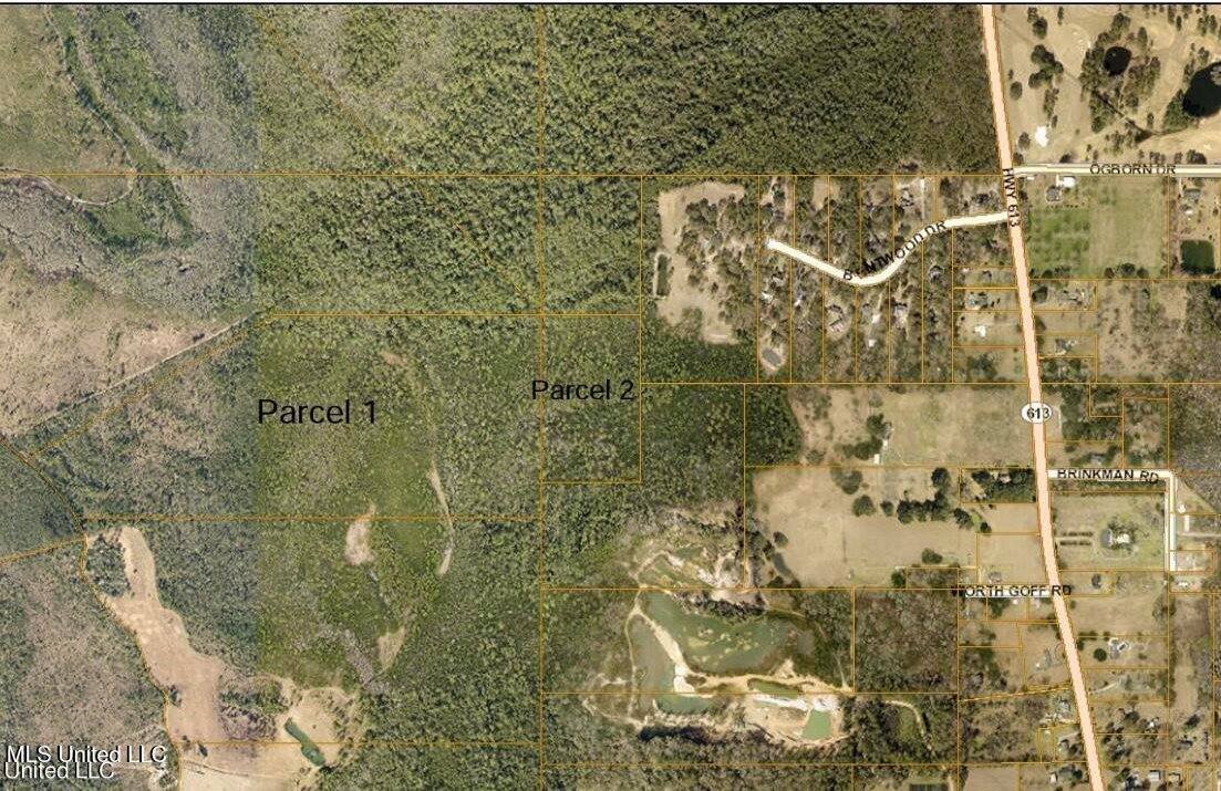 Grafe Homestead Road, Moss Point, MS 39562