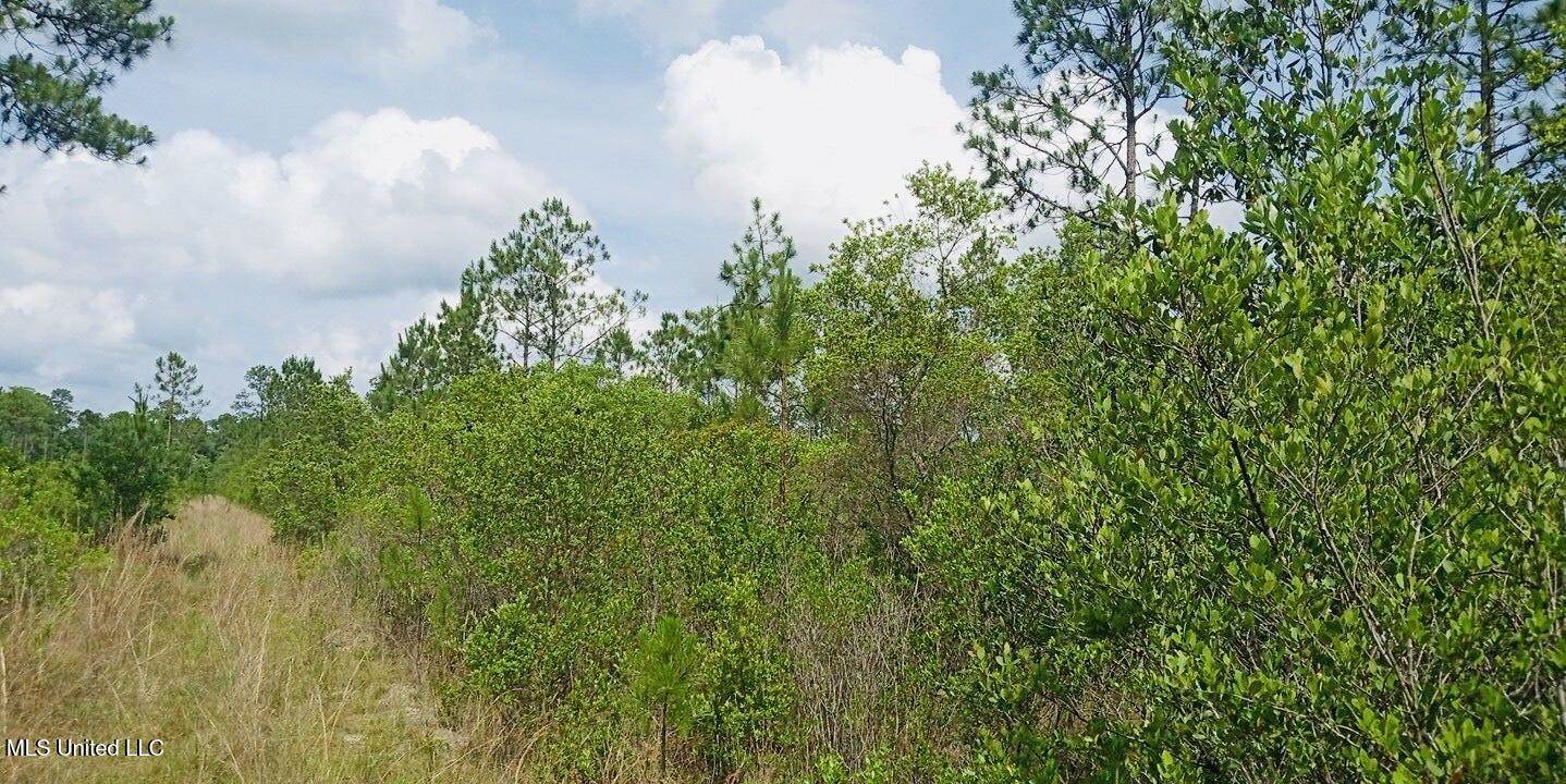 Grafe Homestead Road, Moss Point, MS 39562