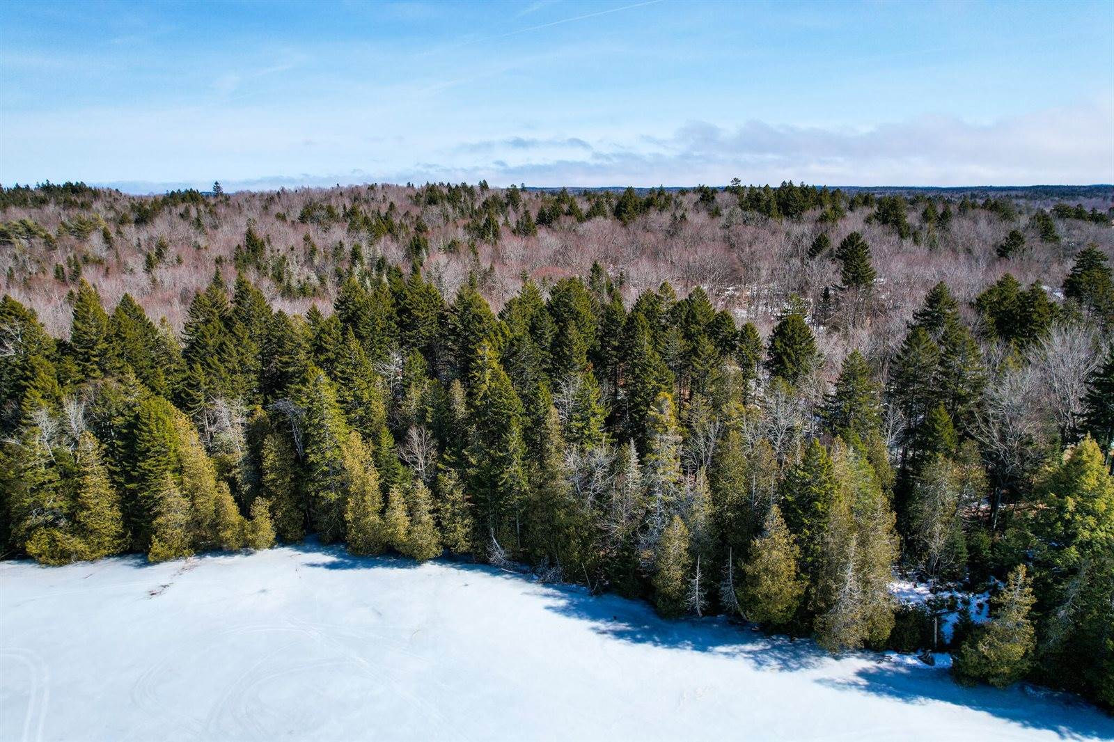 M19 L13-C Halls Mills Road, Whiting, ME 04691