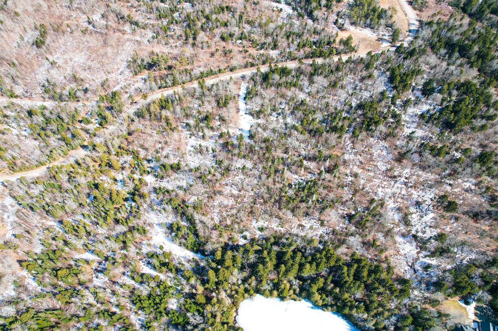 M19 L13-C Halls Mills Road, Whiting, ME 04691