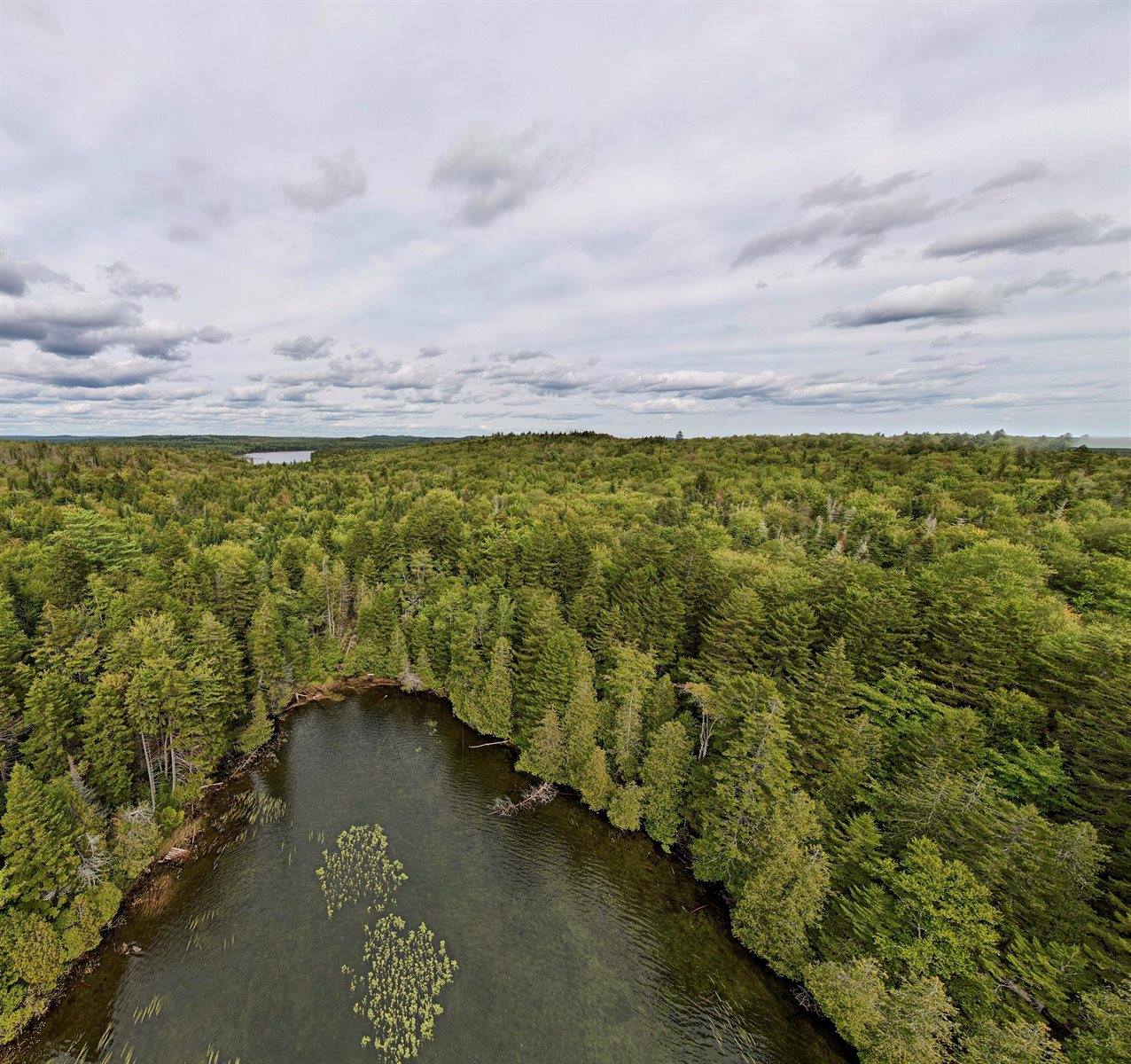 M19 L13-C Halls Mills Road, Whiting, ME 04691