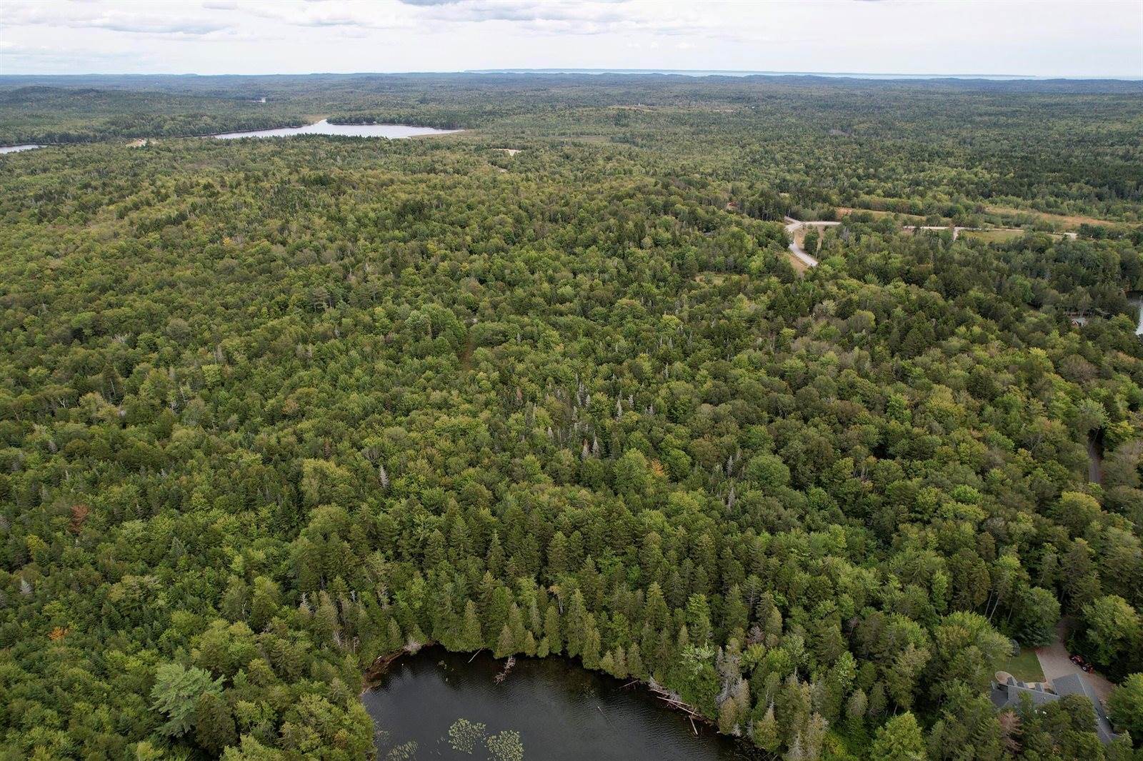 M19 L13-C Halls Mills Road, Whiting, ME 04691