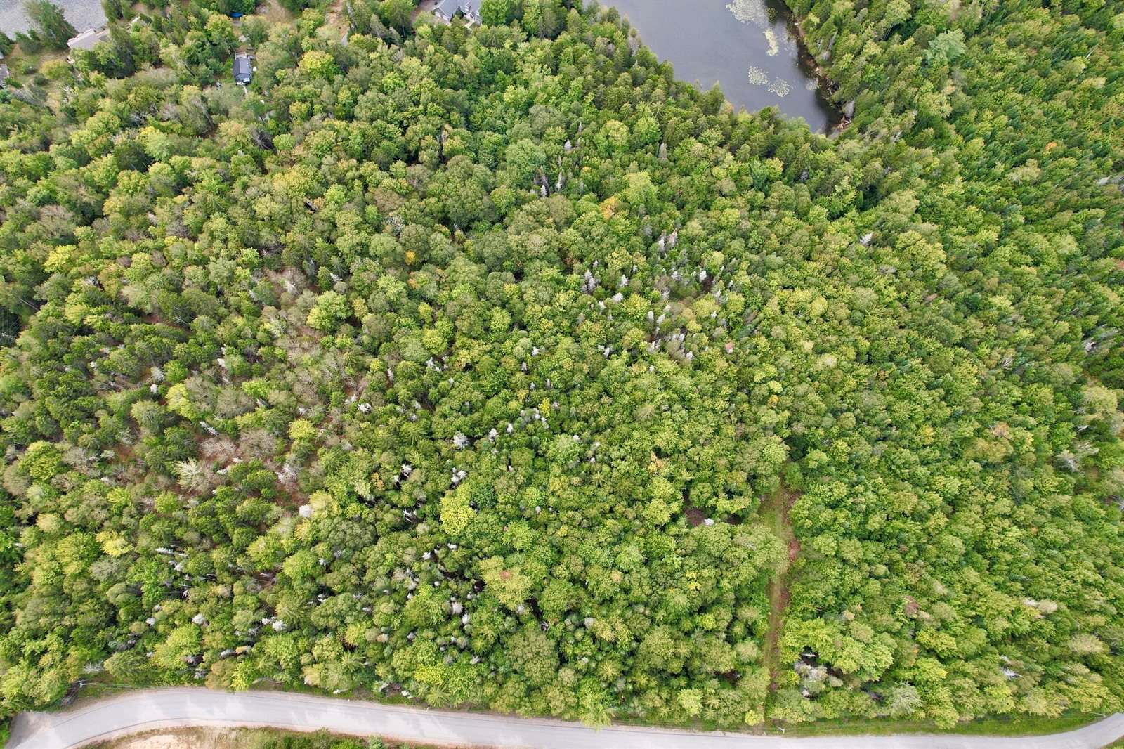 M19 L13-C Halls Mills Road, Whiting, ME 04691