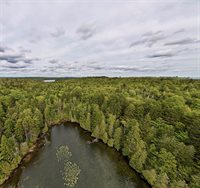 M19 L13-C Halls Mills Road, Whiting, ME 04691