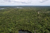 M19 L13-C Halls Mills Road, Whiting, ME 04691