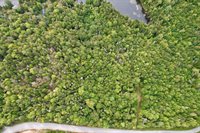 M19 L13-C Halls Mills Road, Whiting, ME 04691