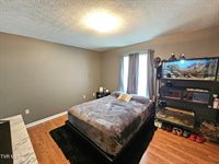 414 Wallace Street, Bristol, TN 37620