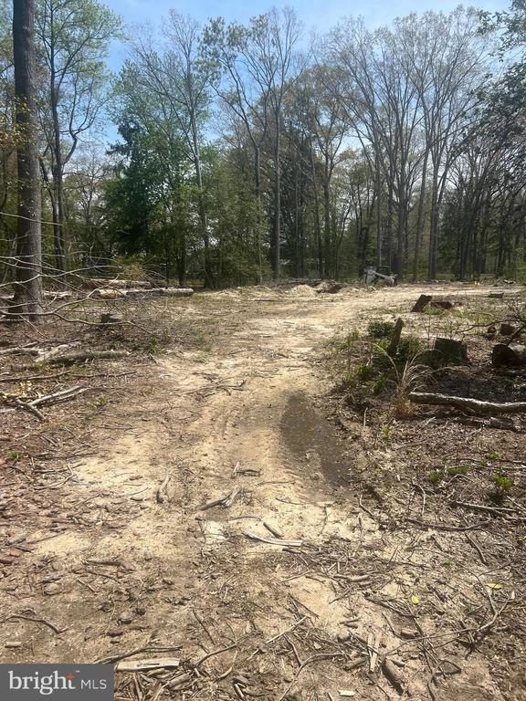 0 Morris Mill Road, Millsboro, DE 19966