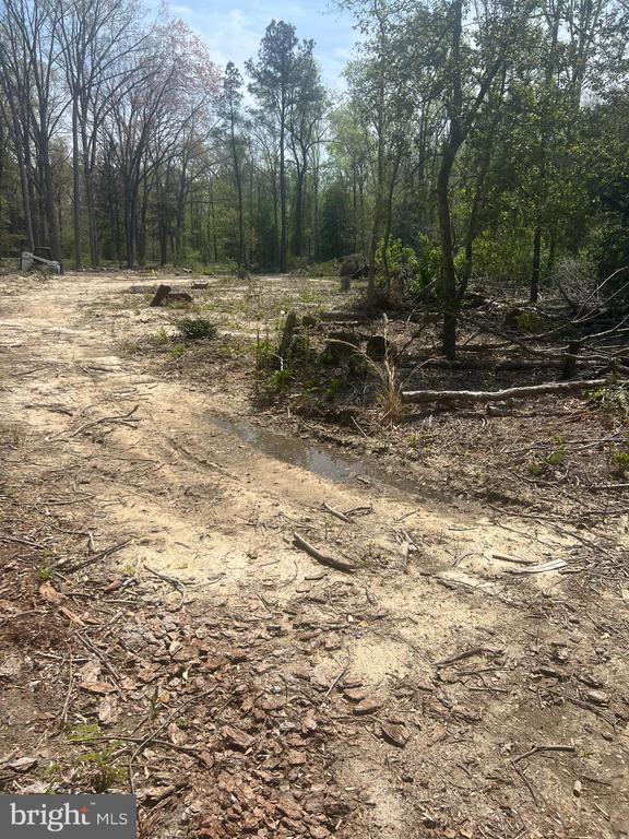 0 Morris Mill Road, Millsboro, DE 19966