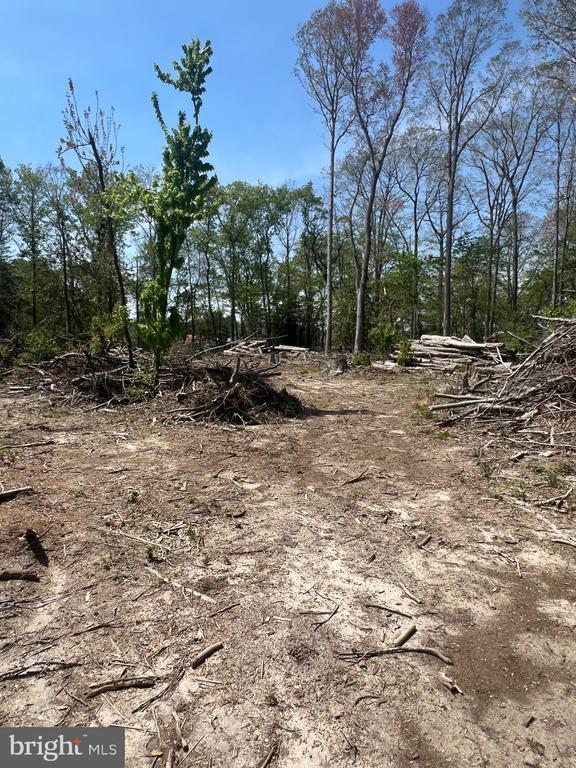 0 Morris Mill Road, Millsboro, DE 19966