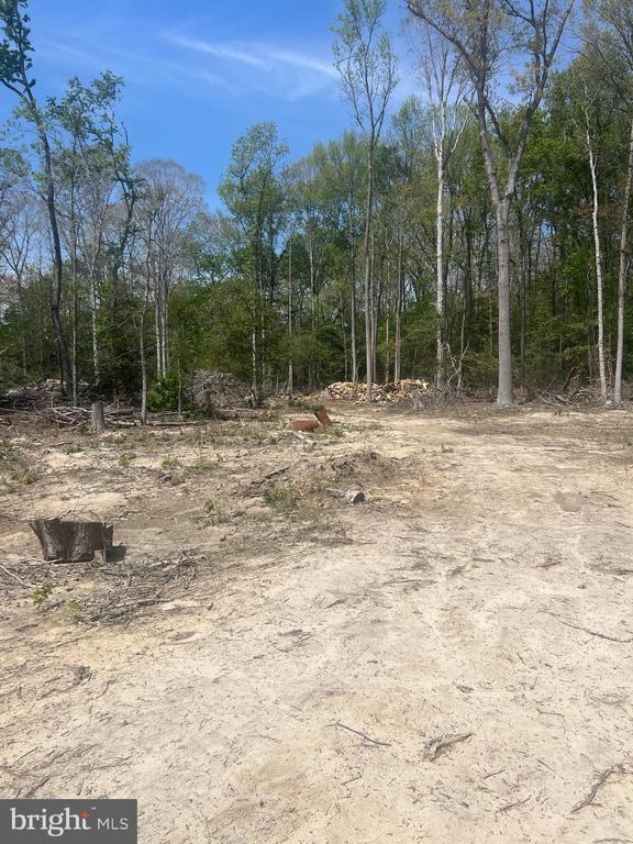 0 Morris Mill Road, Millsboro, DE 19966