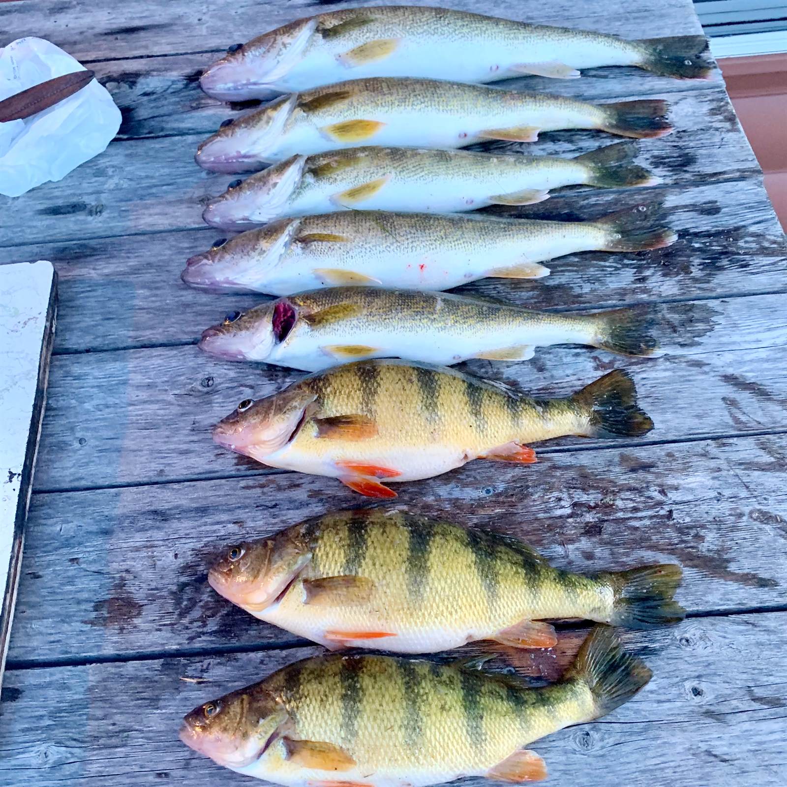 4381 Perch Cicle, Wishek, ND 58495