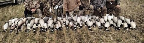 4381 Perch Cicle, Wishek, ND 58495