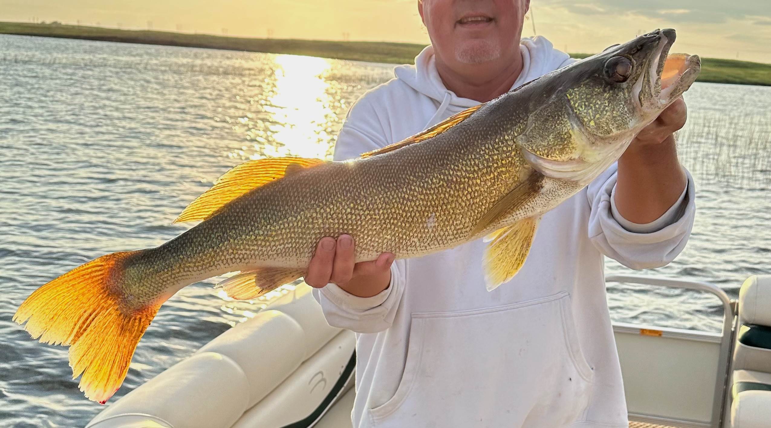 4381 Perch Cicle, Wishek, ND 58495