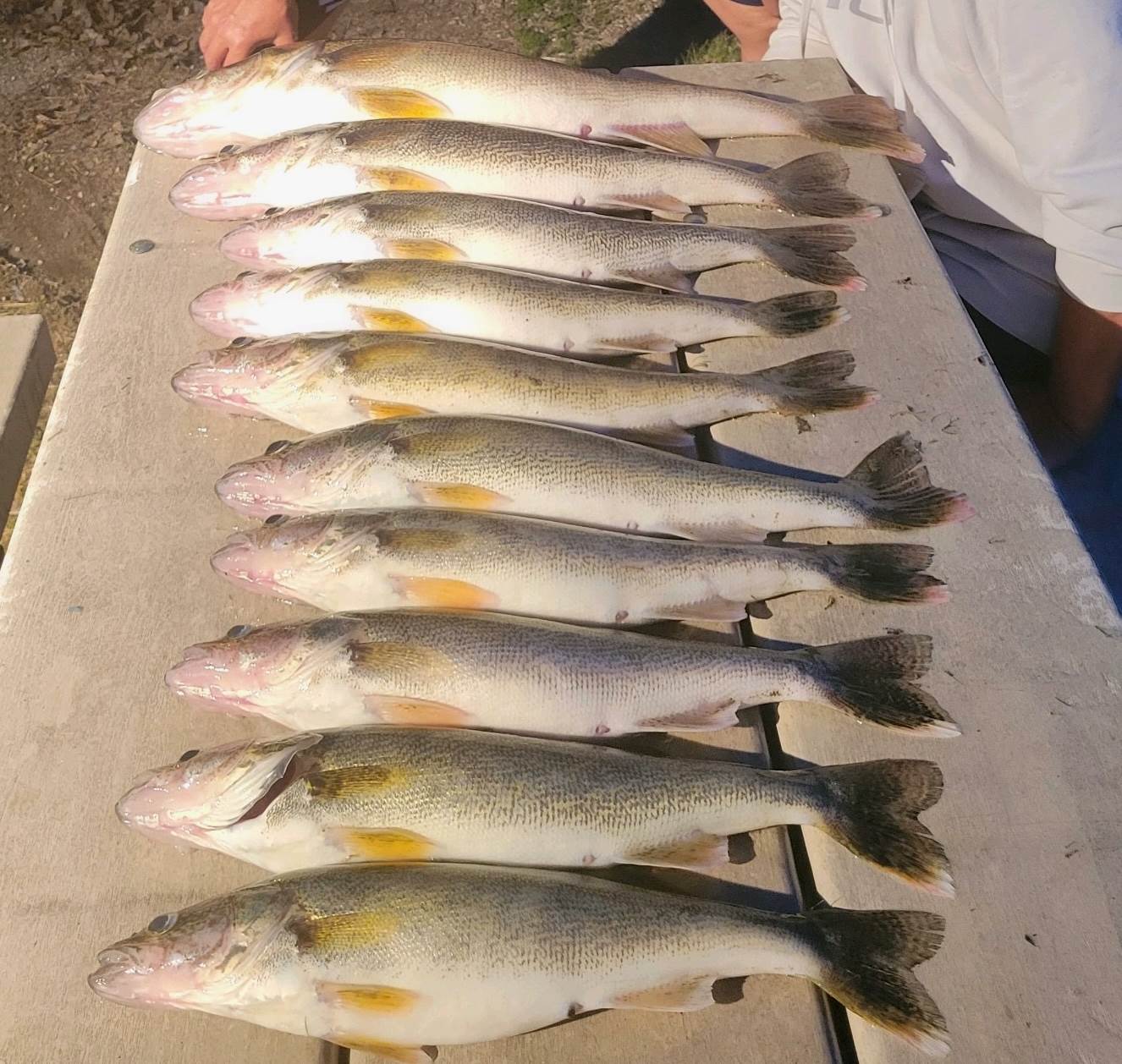 4381 Perch Cicle, Wishek, ND 58495