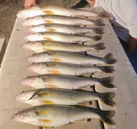 4381 Perch Cicle, Wishek, ND 58495