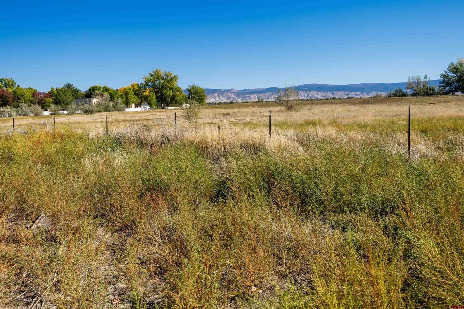 TBD Lot 1 E Oak Grove Road, Montrose, CO 81401