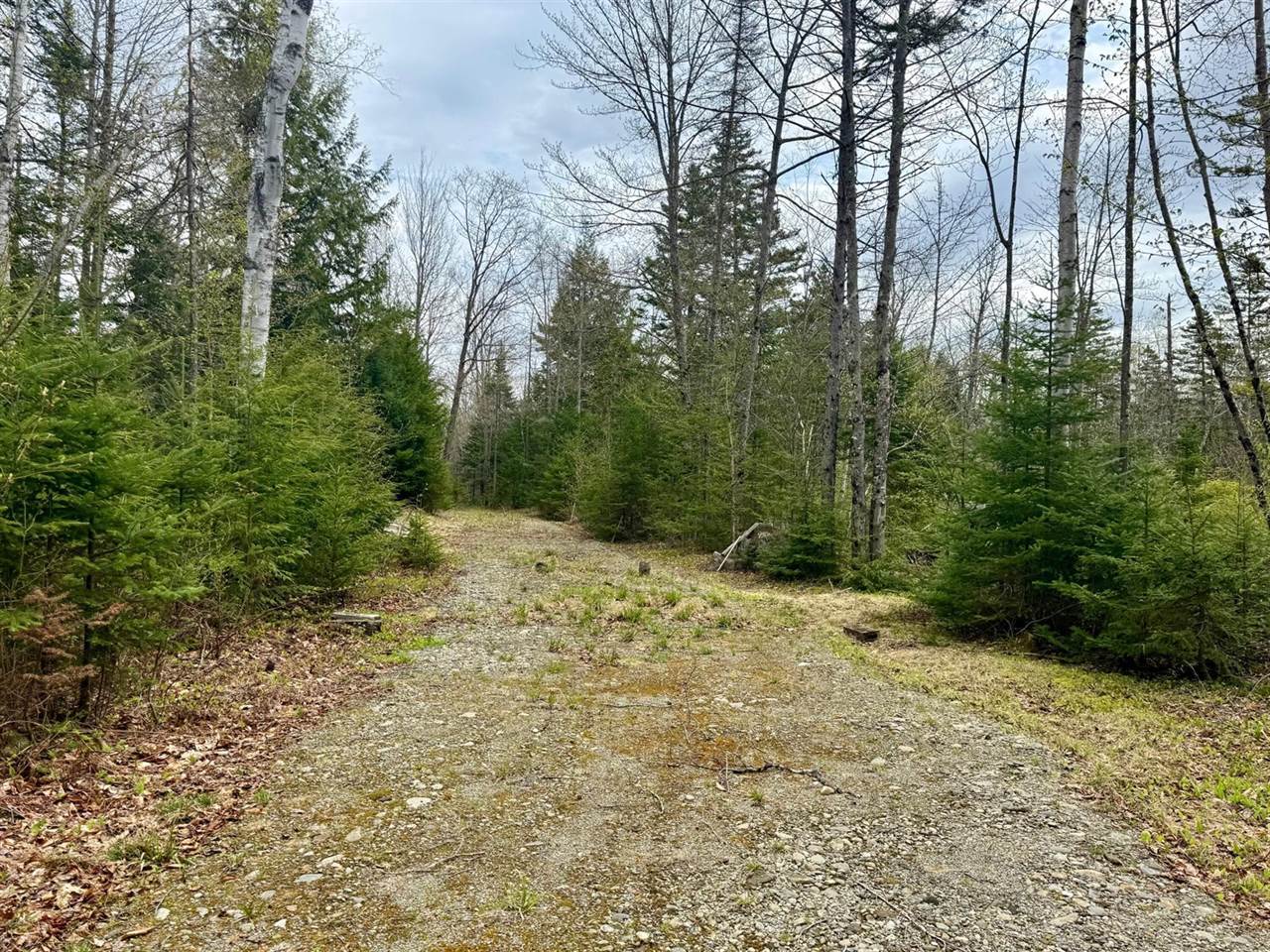 TBD Bob Oberton Road, Avon, ME 04966