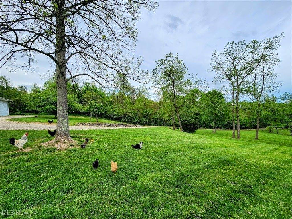 62525 Institute Road, Lore City, OH 43755