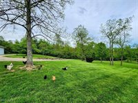 62525 Institute Road, Lore City, OH 43755