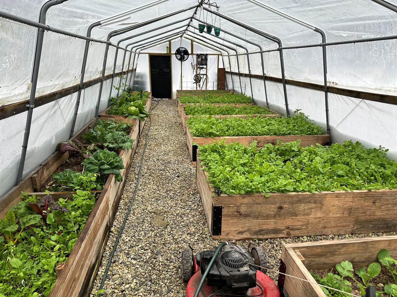 4601 Backwoods Rd, Chesapeake, VA 23322