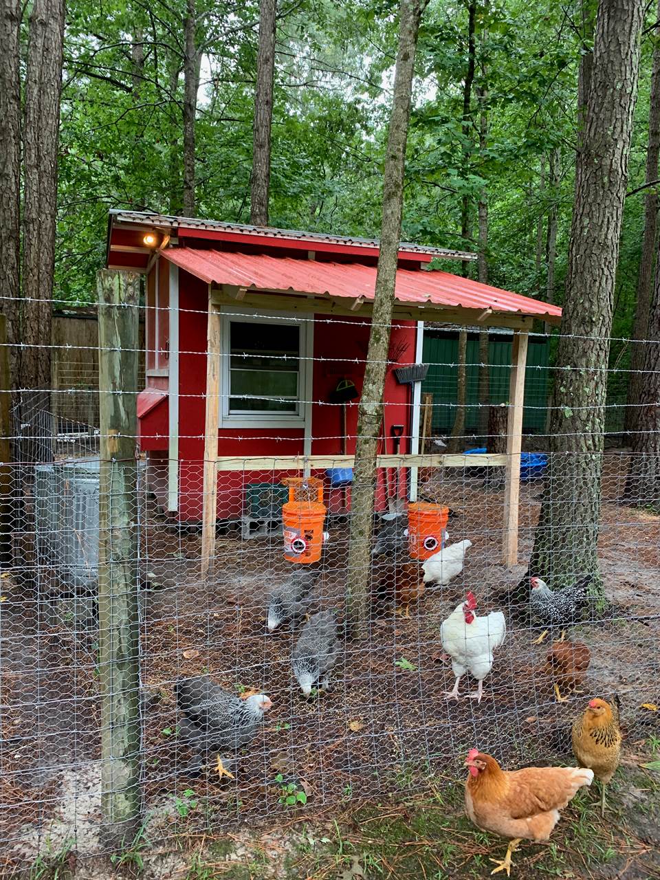 4601 Backwoods Rd, Chesapeake, VA 23322