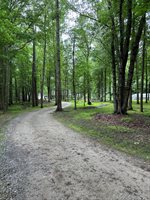 4601 Backwoods Rd, Chesapeake, VA 23322