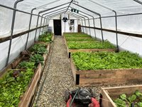 4601 Backwoods Rd, Chesapeake, VA 23322