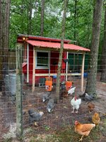 4601 Backwoods Rd, Chesapeake, VA 23322