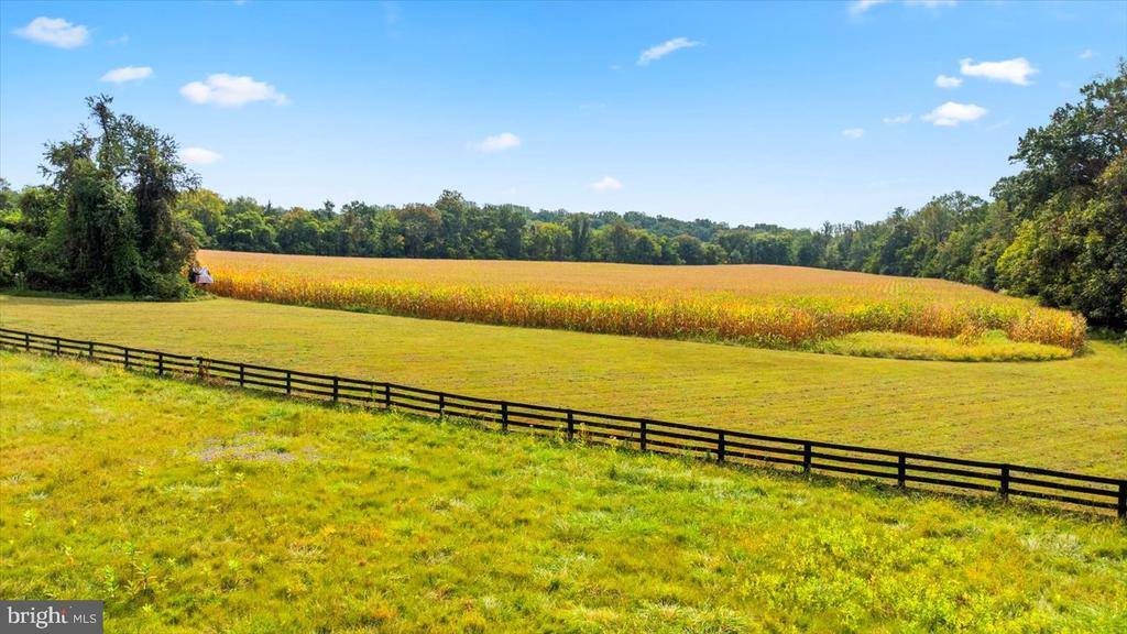 10150 Hedrick Farm Lane, Midland, VA 22728