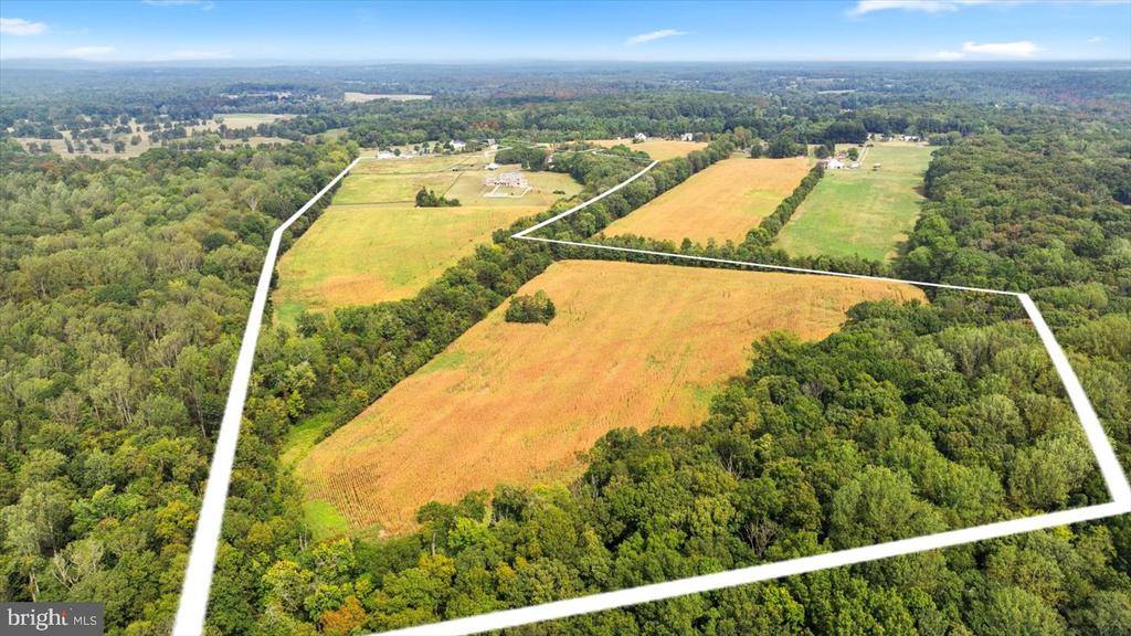 10150 Hedrick Farm Lane, Midland, VA 22728