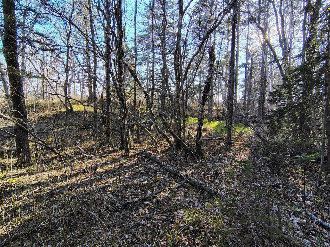 M17/L28 Basin Road, Addison, ME 04606