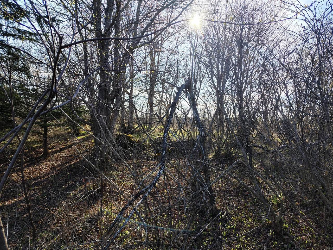 M17/L28 Basin Road, Addison, ME 04606