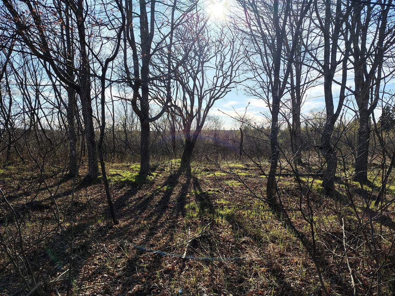 M17/L28 Basin Road, Addison, ME 04606