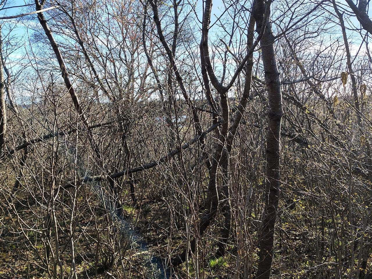 M17/L28 Basin Road, Addison, ME 04606