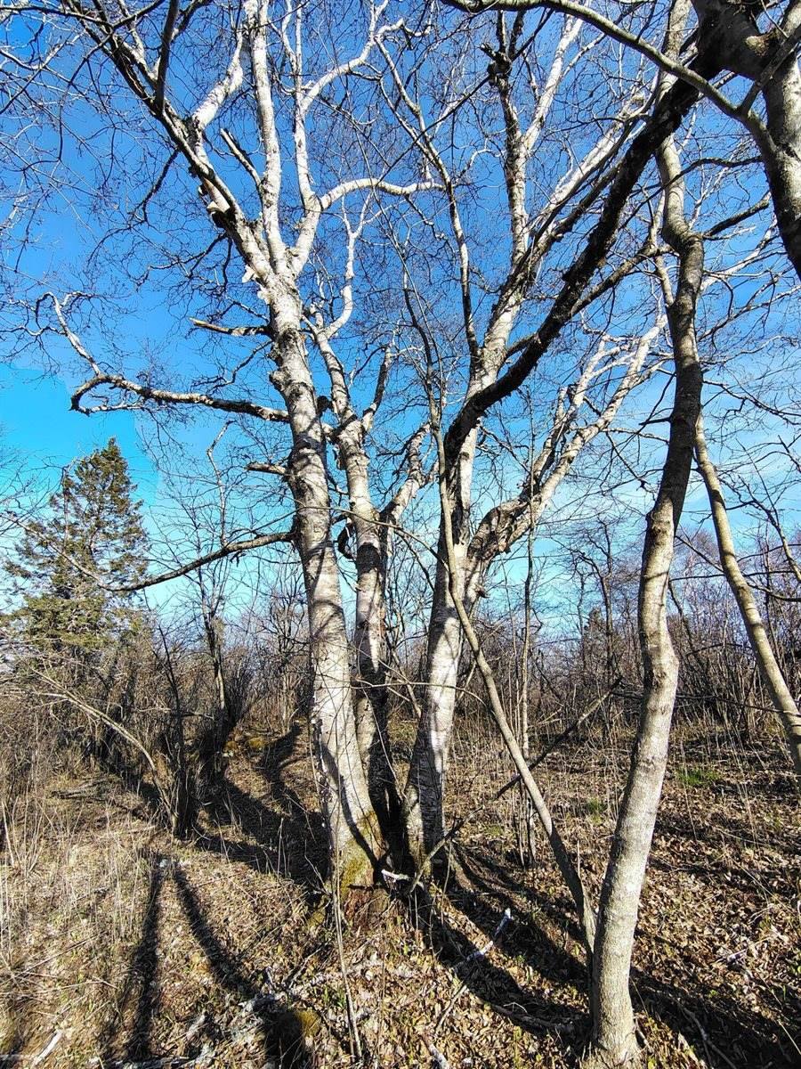 M17/L28 Basin Road, Addison, ME 04606