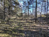 M17/L28 Basin Road, Addison, ME 04606