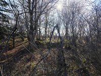 M17/L28 Basin Road, Addison, ME 04606