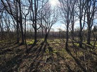 M17/L28 Basin Road, Addison, ME 04606